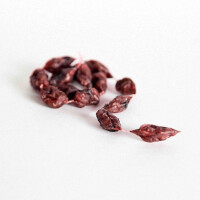 RIND - Train Chain 80g